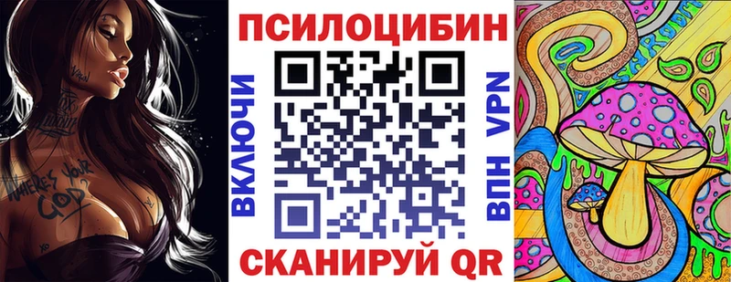 купить наркоту  Камызяк  Псилоцибиновые грибы GOLDEN TEACHER 